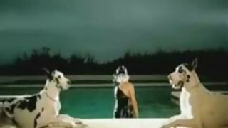 ಒಳ್ಳೆಯ ಕತ್ತೆಗಳನ್ನು ಹ ...