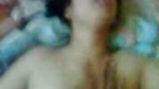 ಹಾರ್ನಿ ಲ್ಯಾಟಿನಾ ಮಿಸ್ ...