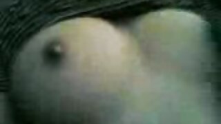 ಸ್ಯಾಸಿ ಬಿಚ್ಗಳಾದ ಕ್ಯ ...